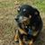 Grae N Gilly Kennedy's profile image