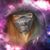 Vi-Vi Gulick's profile image