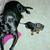 Lora Ellen Mouras-Hyde's profile image