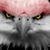 ßeks ßęčkĥåm's profile image