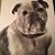 Barbara Gayle Palmgren's profile image
