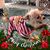Nancy Tippins Lemasters's profile image