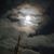 Tammy Perry- Beaupre's profile image