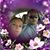 Katie Bauhaus's profile image