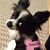Lynn Wilkins Jones's profile image