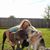 Jessica Buras's profile image