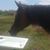 Bronnie Grey Egerton-Warburton's profile image