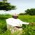 Hamisu Usman Manga's profile image