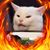 Reynaldn Solis Jr.'s profile image