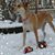 Donna Klein's profile image