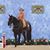 Sandy Western's profile image