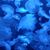 Ann Wells Roberts's profile image