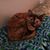 Marsha Taylor Pepper's profile image