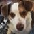 Peggy Sue Patrick Weeden's profile image