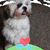 Barry Sumner's profile image