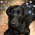 Kristin Turner Wilkinson's profile image