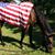 Jane Dreisbach's profile image