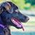 Amanda Munhollon's profile image