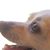 Joy Kotler's profile image
