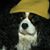 Terri Mc Ghee Schleicher's profile image
