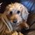 Therese Furey Fuhrman's profile image