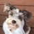 Stephanie Simmons Page's profile image