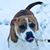 Mark Righter's profile image