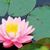 Elaine T Guerrero's profile image