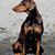 William Erdman's profile image
