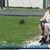 Lynne Graham Shane Adams's profile image