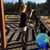 Tracy Cogdill's profile image