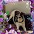 Tami Doyle's profile image