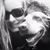 Leslie Bridges's profile image