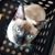 Sandy Micheletti Beitsch's profile image