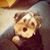 Lisa Gabel Bolton's profile image