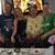 Lori Hoyle McCreary's profile image