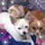 Tonda Moseley's profile image