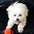 Pamela Davis Pluff's profile image