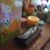 Htay Shwe's profile image