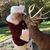 Trudy Peters Henschel's profile image