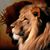 Edith Onaolapo's profile image