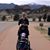 Laina McGuire's profile image