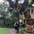 Meredith Scholle's profile image
