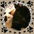 Kristina Bosworth's profile image