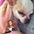 Noemi Moran's profile image