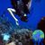 Leila Fullwood's profile image