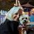 Kathi Cipriano's profile image