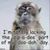 Dawn Stringer's profile image