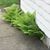 Karen Wilcox's profile image