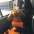 Karen Morris's profile image